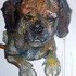 20120305132111-elise_dodeles_sammie_watching_oil_on_canvas_30_x_40_inches_feb