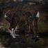 20120305155734-lybimage