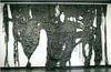 20120305174133-aguiniga1