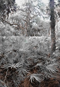 20120305182600-myakka