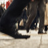 20120305190420-tokyo__japan__2011___shibuya_crossing_1