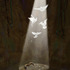 20120305215943-freedom