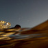 20120306021115-00520120306