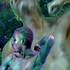 20120306065912-adham-faramawy-betw39c93c-16378