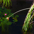 20120306154231-dscn2677a