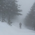 20120306163329-722x270-ogerschtsoundsnow-