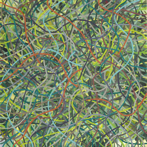 20120306203115-tangle__green-orange_