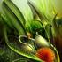 20120306213135-huur1z