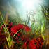 20120306213400-kery2