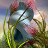 20120306213531-acevz3