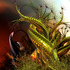 20120306214306-the-tale-of-lovers