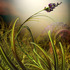 20120306214415-drealz