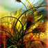 20120306214645-oolu7z