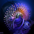 20120306215823-uriitz