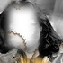 20120307044130-selfe_facingbuzz