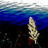 20120307072740-freedom-_2_1024_0247