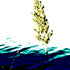 20120307074024-freedom-_5_1024_0245
