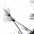 20120307075650-freedom-_8_img_0241