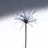 20120307080505-freedom-_9_1024_0231