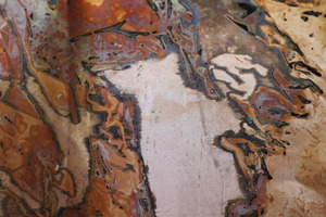 20120307114347-img_3961