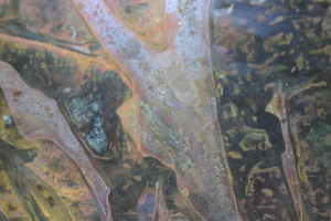 20120307120358-img_3914