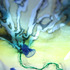 20120307150638-c3