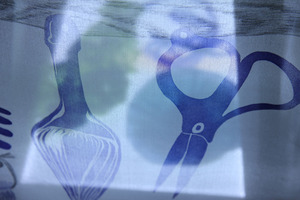 20120307150956-c3