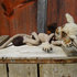20120307232758-image