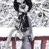 20120307233506-_dsc1876