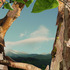 20120309104557-boo_ritson__treetop__digital_c-type_print__90_x_135_cm__low