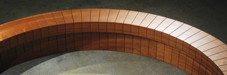 Wood Ring,Chris Kabel