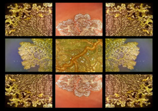 Hydraphilia (video still),Gail Wight