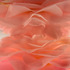 20120310045033-pink01