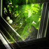 20120425132045-asshel04