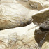 20120312021603-at_the_edge_4