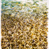 20120312024025-fogg_water___color_2