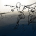 20120312082130-crw_0684_copy