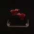 20120312090408-gedc0592