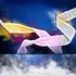 20120312152432-arie_150ppi