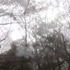 20120312161717-shinonome1_s