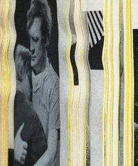Amnesia (detail) ,Erica Baum