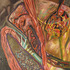 20120312202233-ii__1