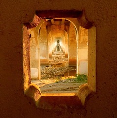 Look Beyond The LIght,Virginia T Coleman