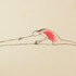 20120313094130-hotblooded_animal1_pencil_on_paper_38x54