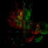 20120313190405-video_still-frame-i_have_to_say-christian_zanotto