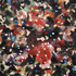 20120314013847-jtf1111_doradus