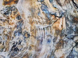20120314045041-aerial_view_08_final