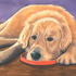 20120315214700-dog300