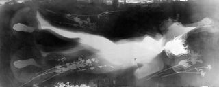 Andrea Photogram,Anton Perich