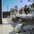 20120314203941-cover-person-number-hires